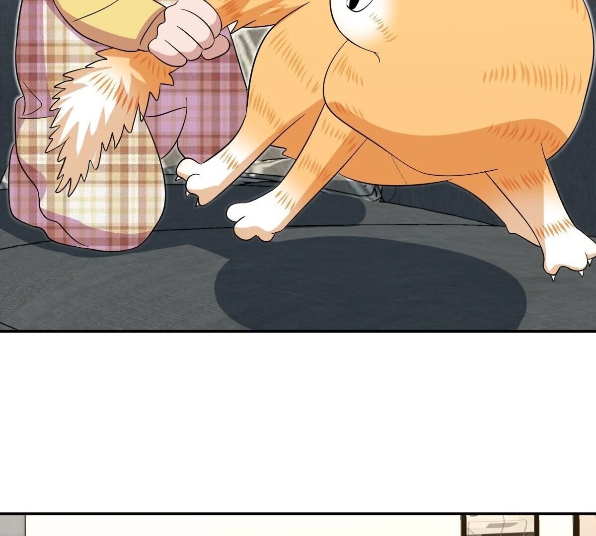 Page 8 of Chapter 355