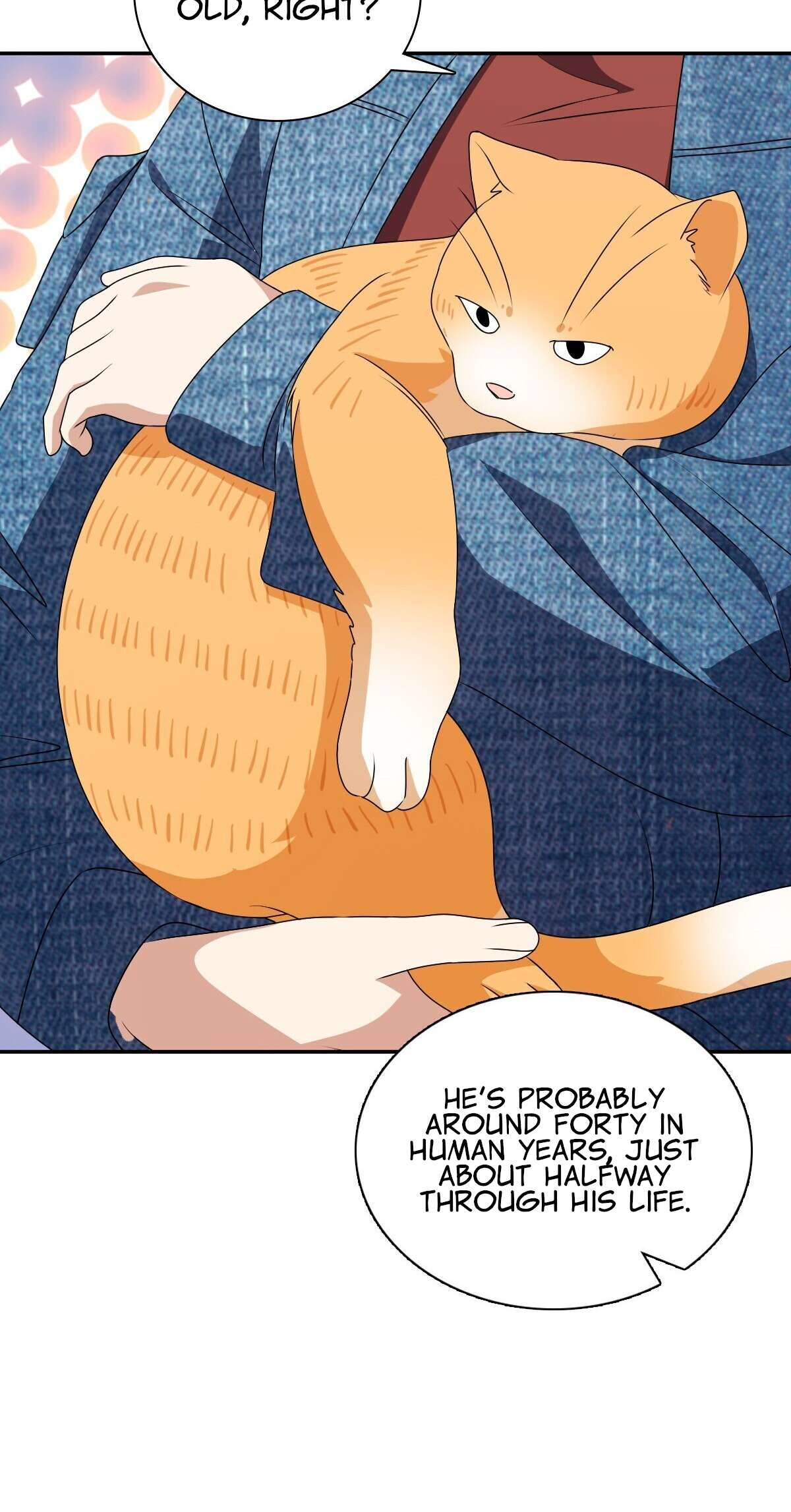 Page 27 of Chapter 356