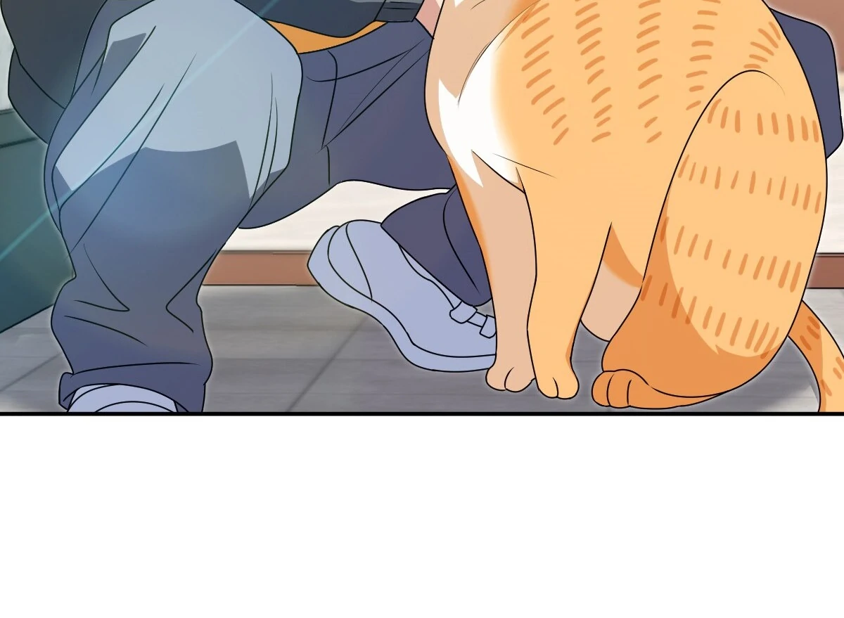 Page 46 of Chapter 358