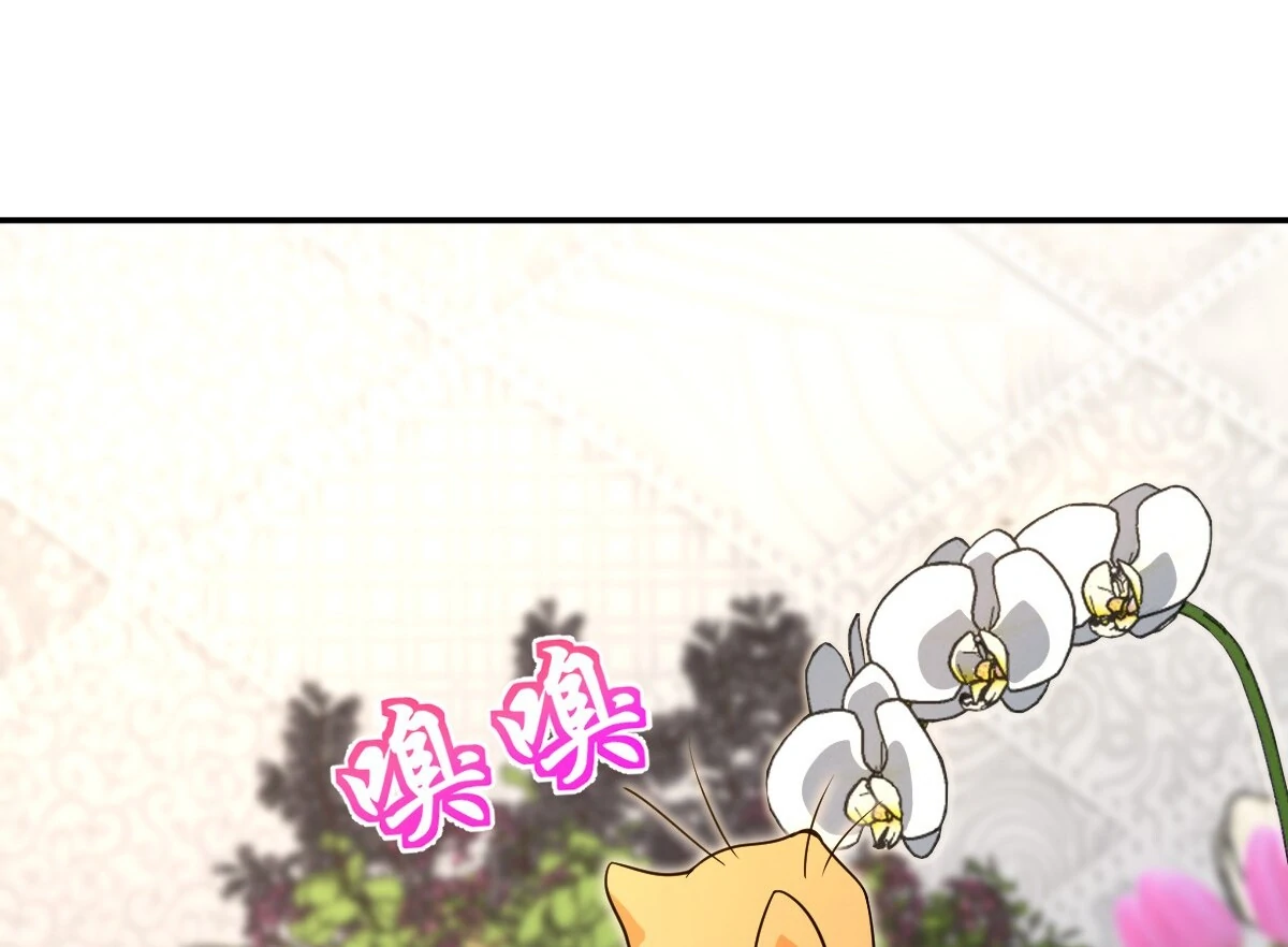 Page 58 of Chapter 380