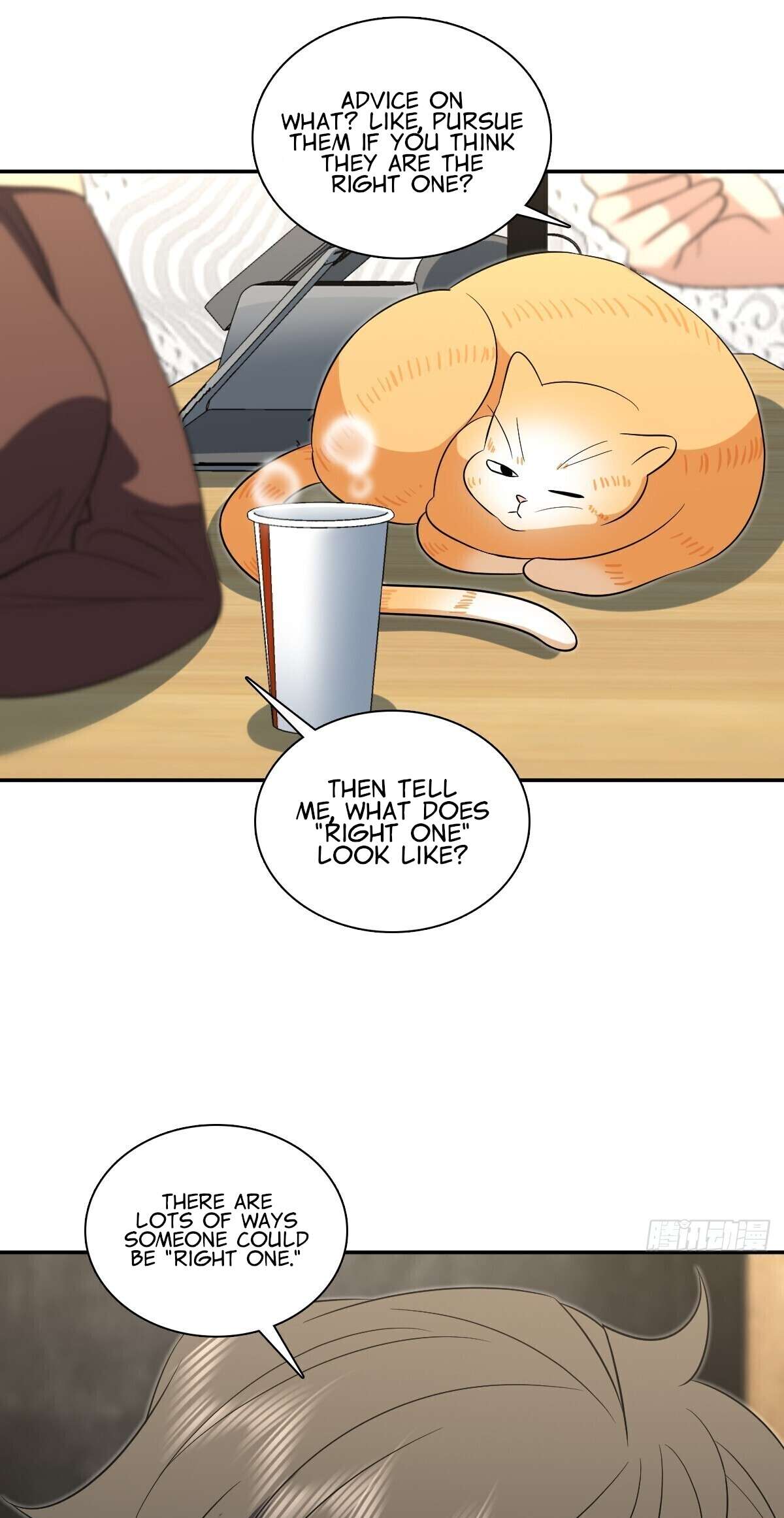 Page 14 of Chapter 385