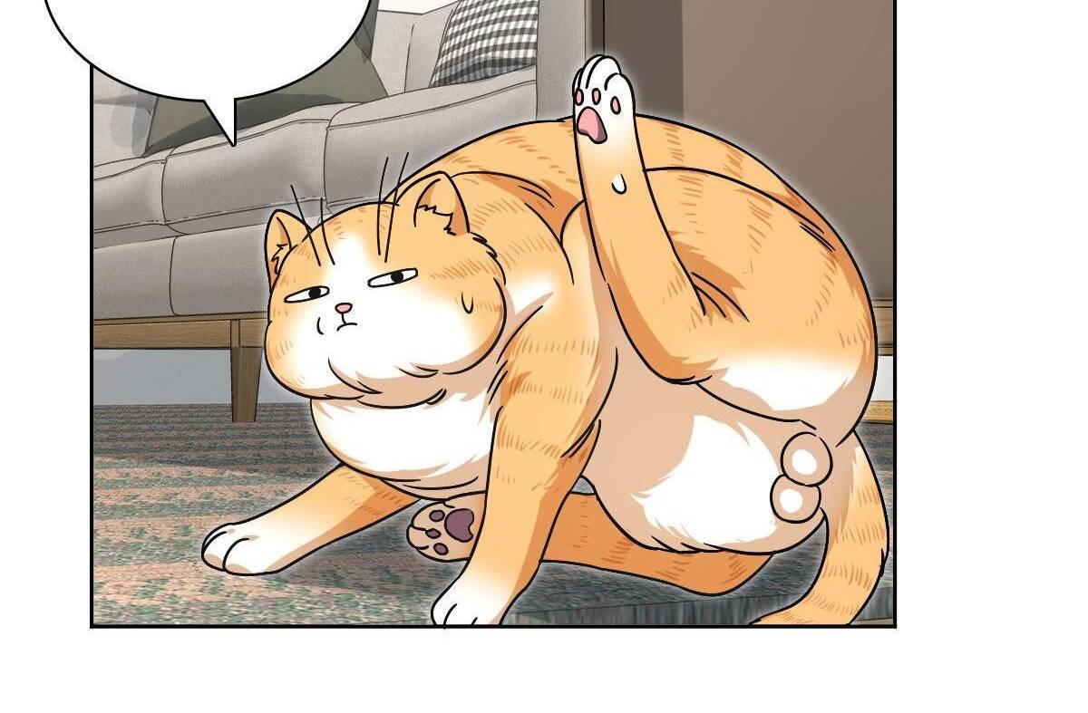 Page 62 of Chapter 44
