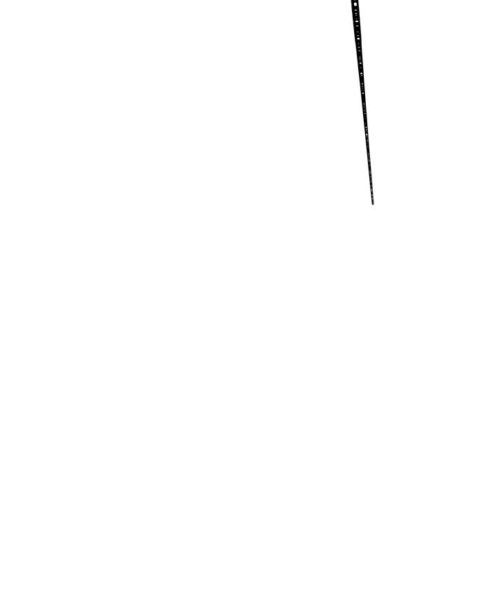 Page 17 of Chapter 88