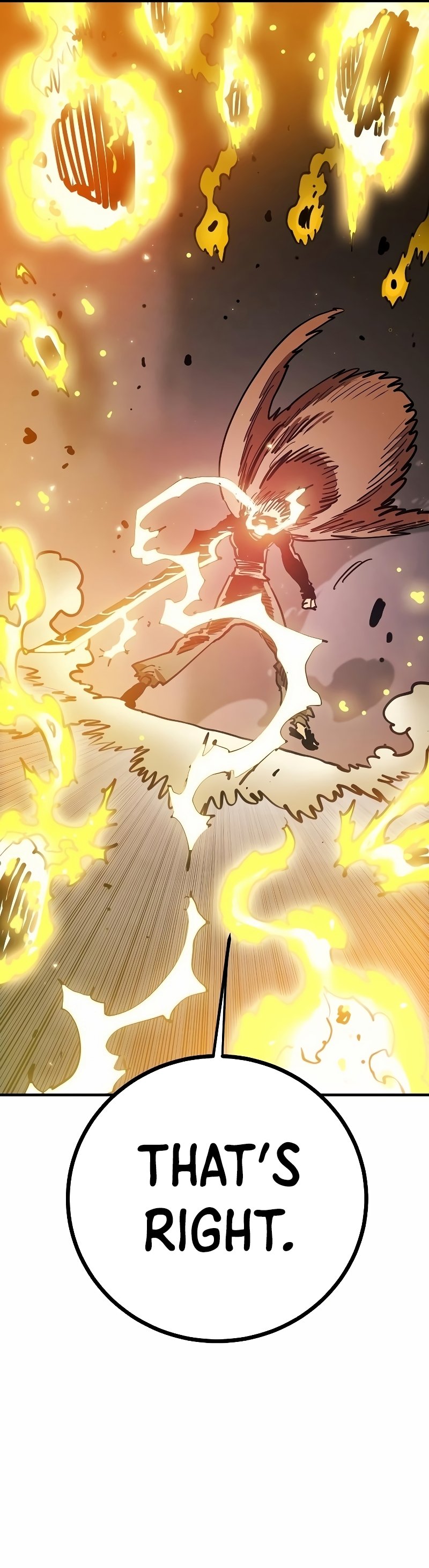 Page 3 of Chapter 207