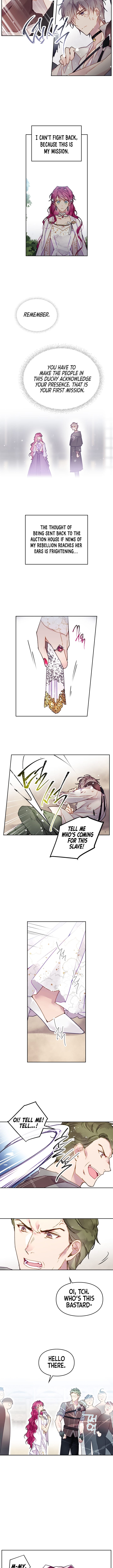 Page 3 of Chapter 46