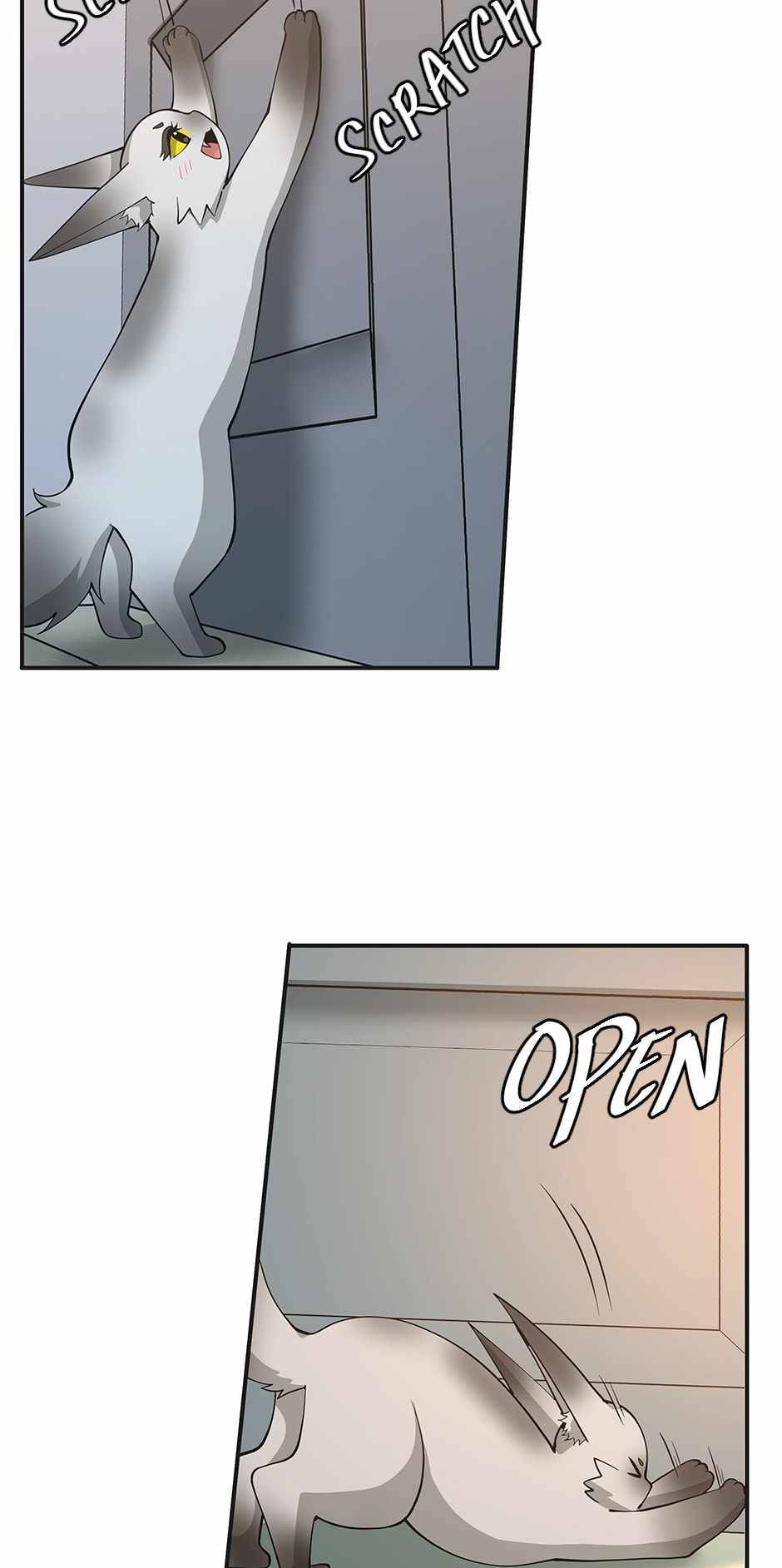 Page 41 of Chapter 133