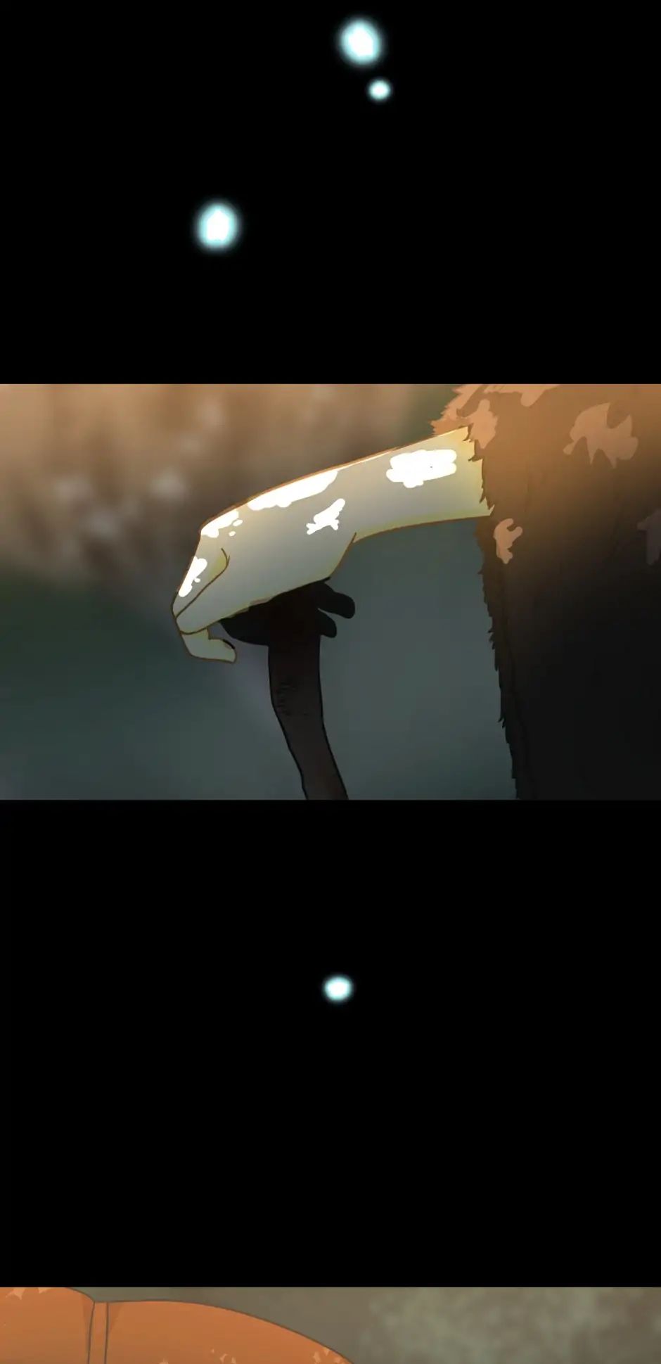 Page 13 of Chapter 19
