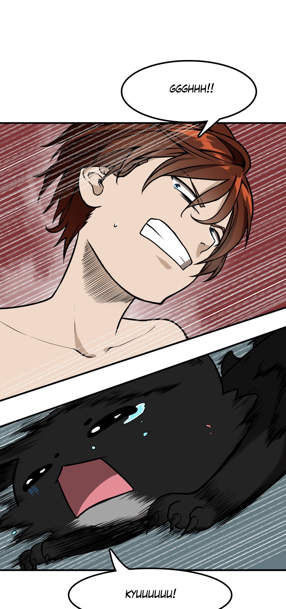 Page 5 of Chapter 48