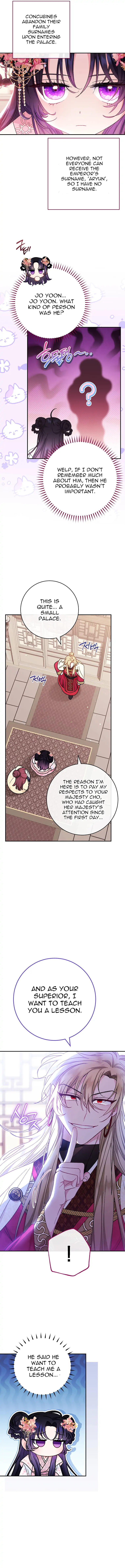 Page 3 of Chapter 2