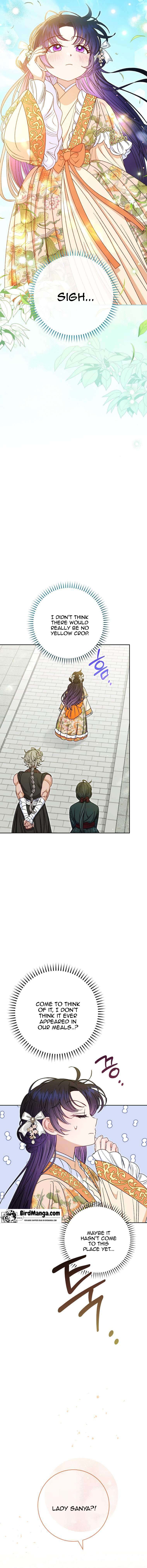 Page 17 of Chapter 32