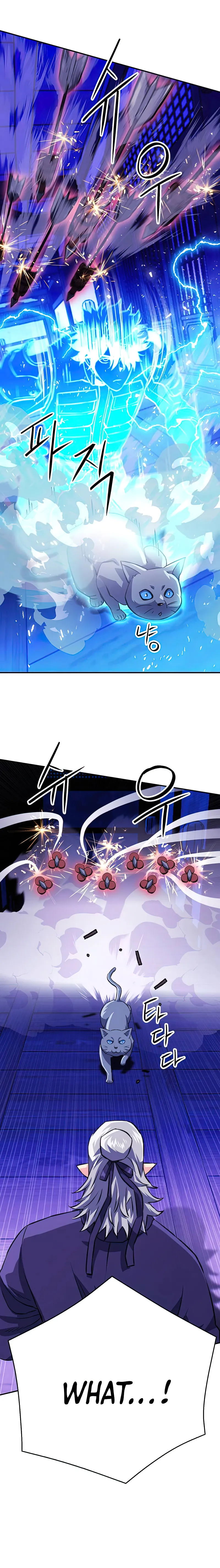 Page 40 of Chapter 126