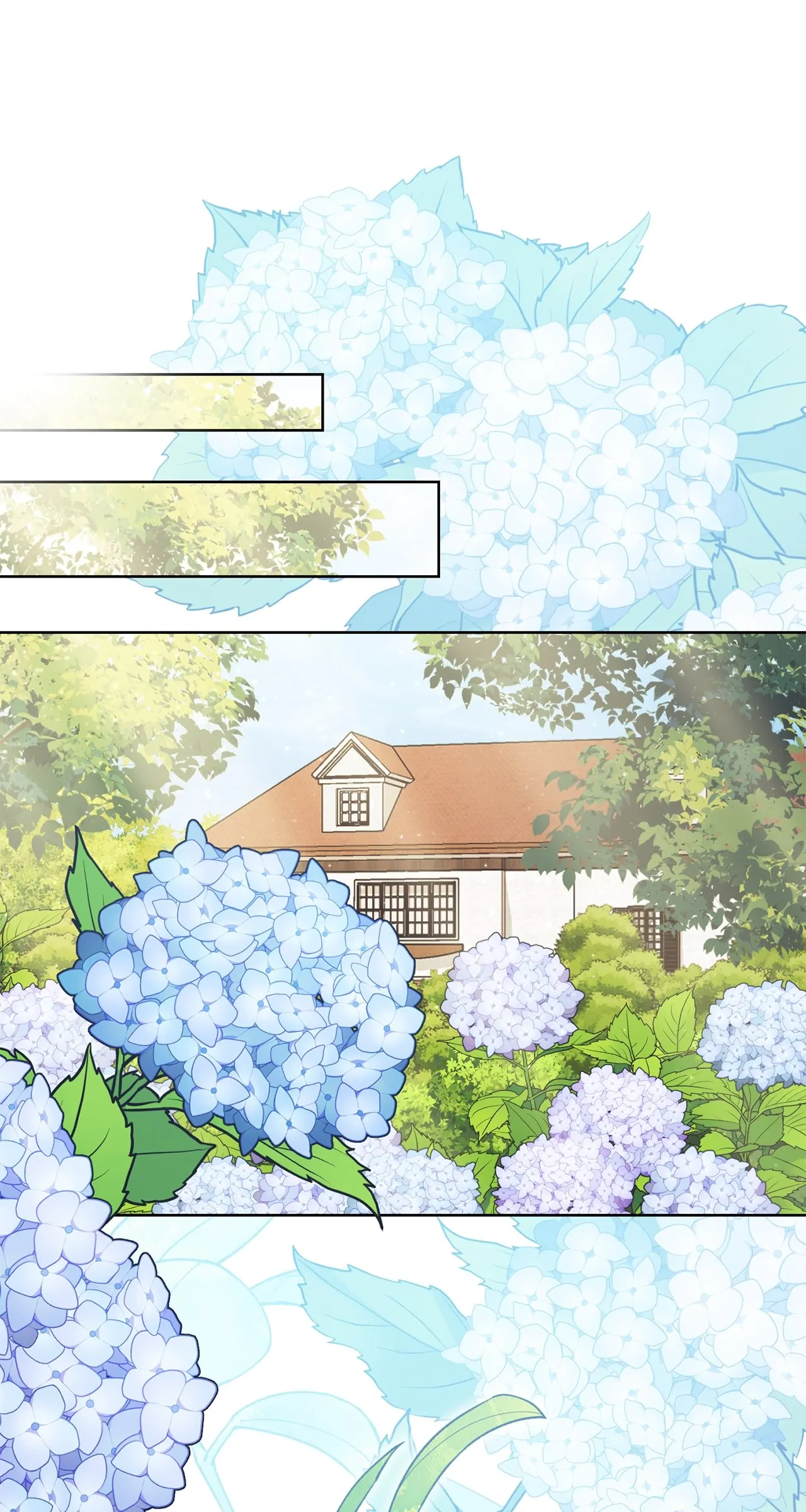 Page 63 of Chapter 17
