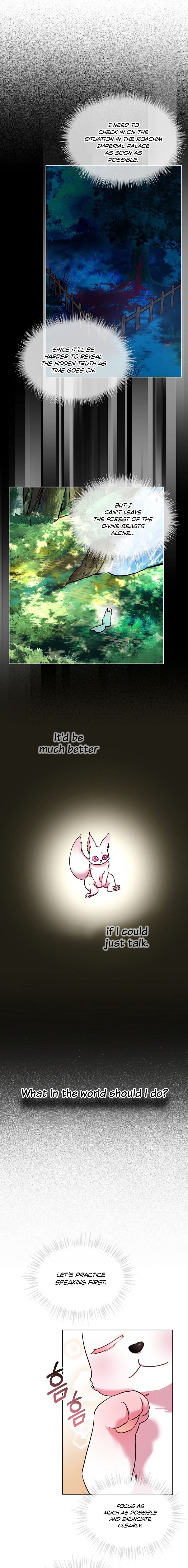 Page 13 of Chapter 2