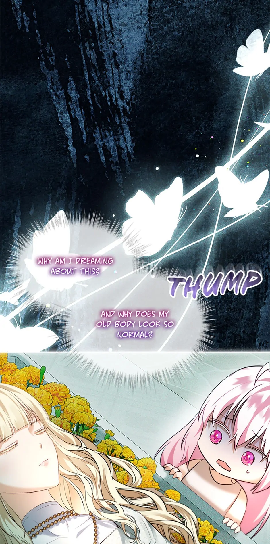 Page 20 of Chapter 40