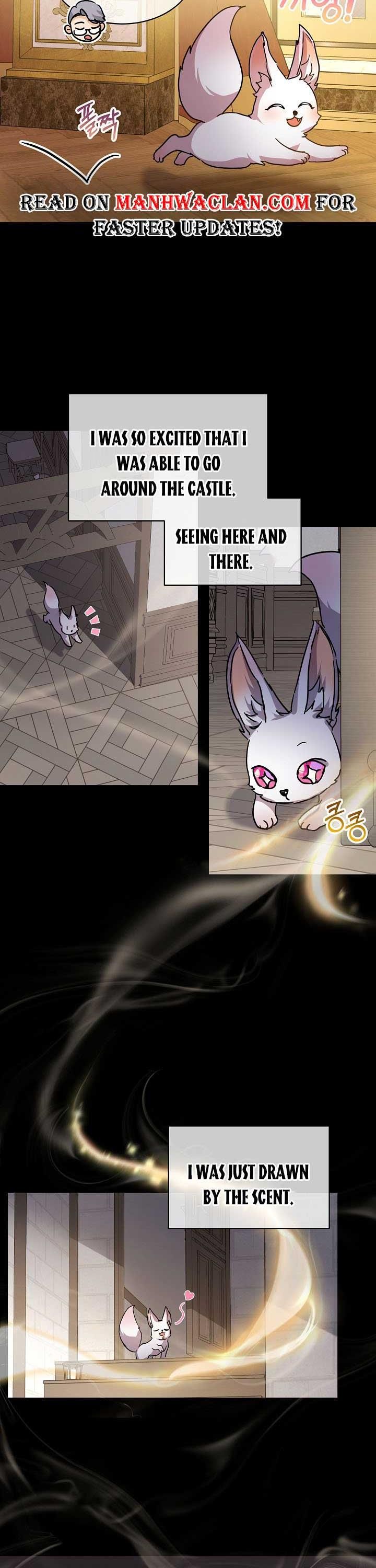 Page 4 of Chapter 8