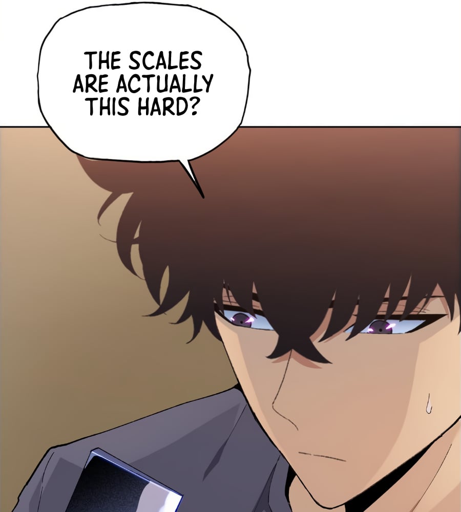 Page 106 of Chapter 17