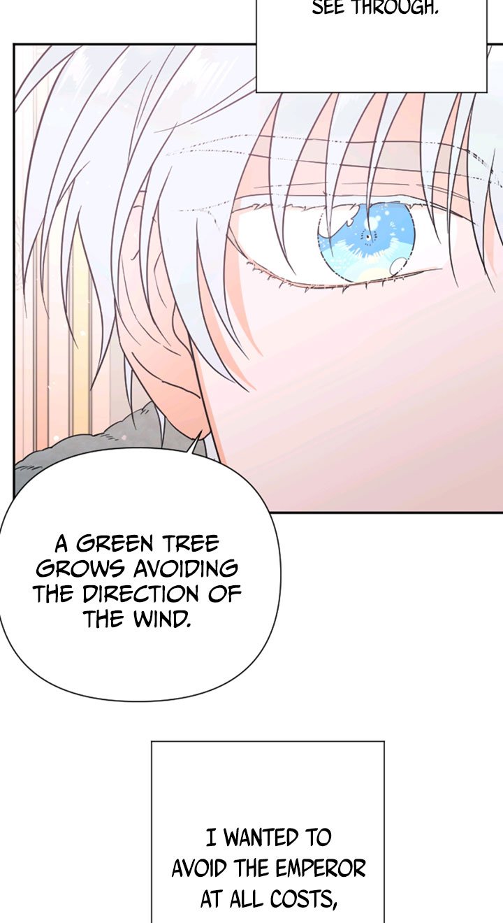 Page 14 of Chapter 125