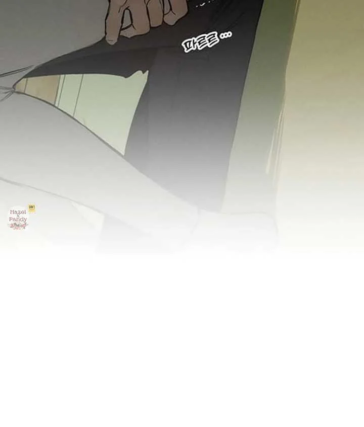 Page 41 of Chapter 48