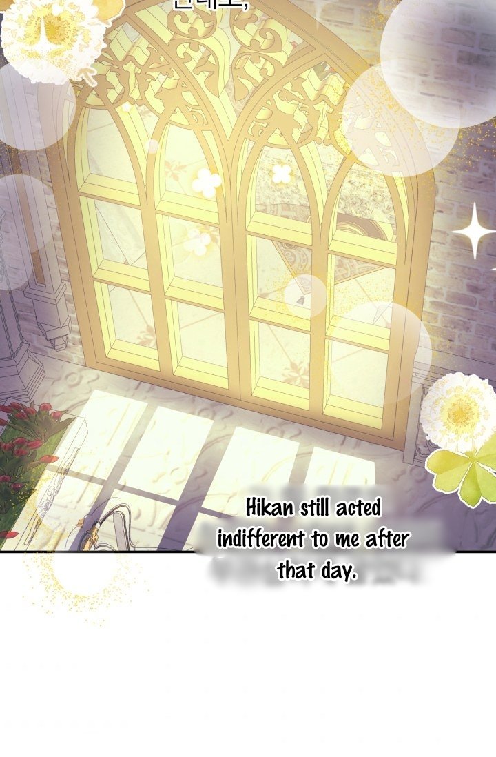 Page 25 of Chapter 11