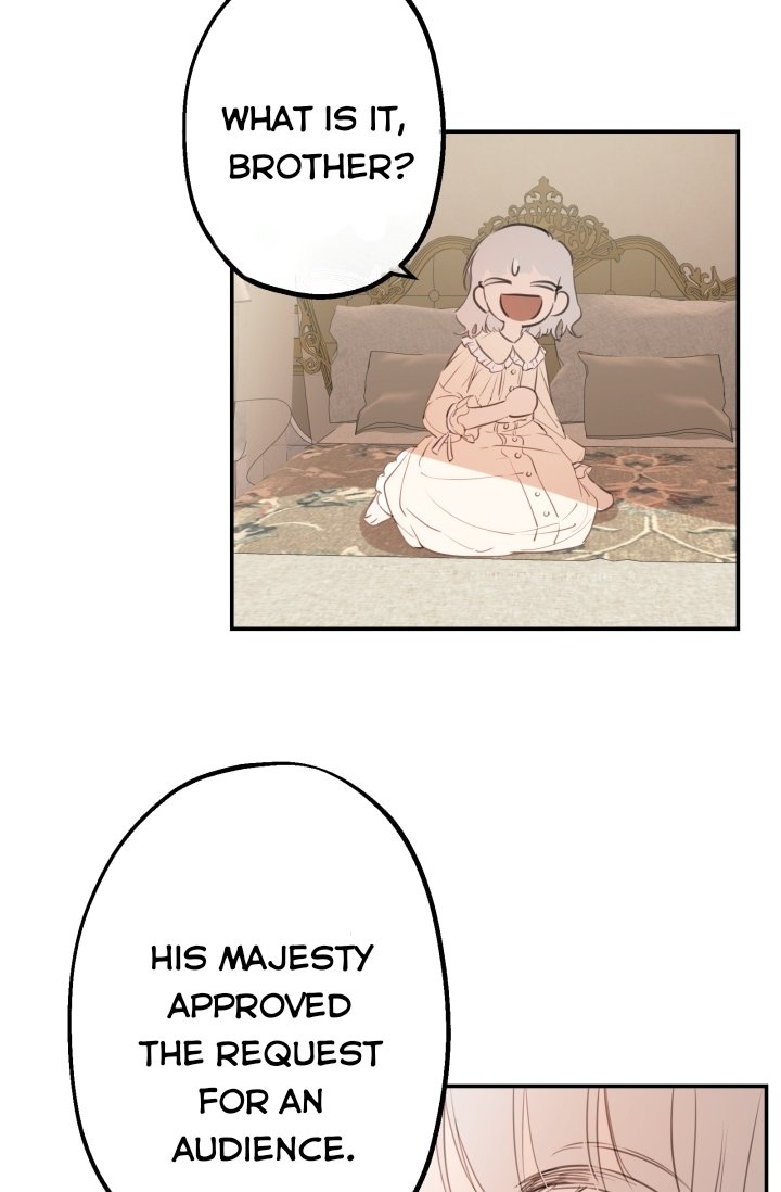 Page 29 of Chapter 11