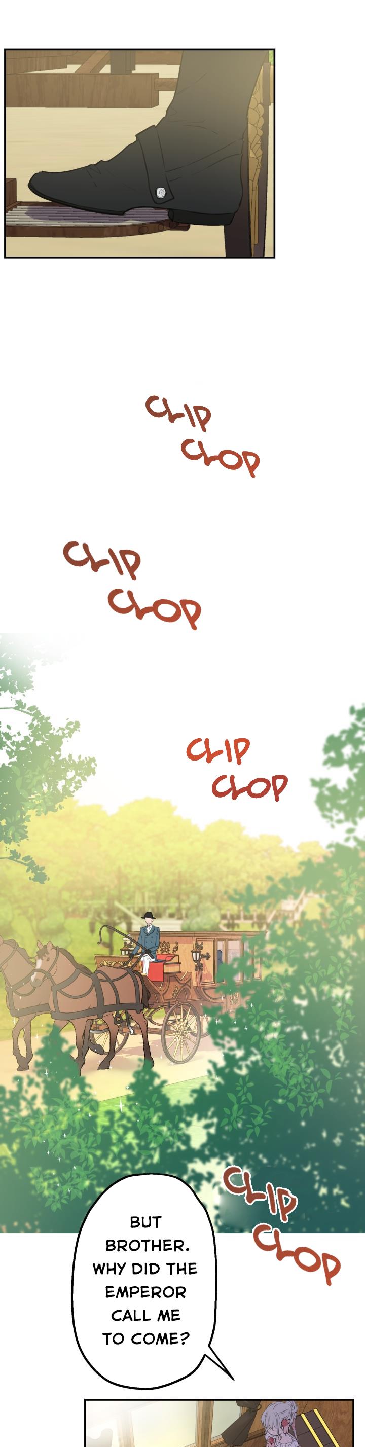 Page 11 of Chapter 12