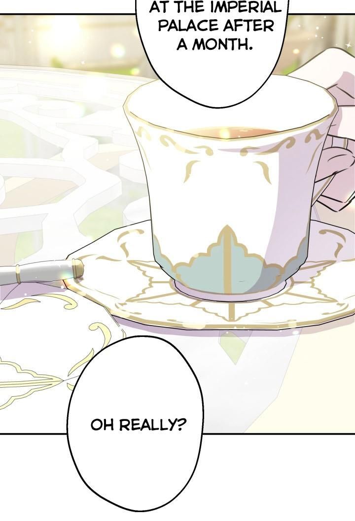 Page 13 of Chapter 33