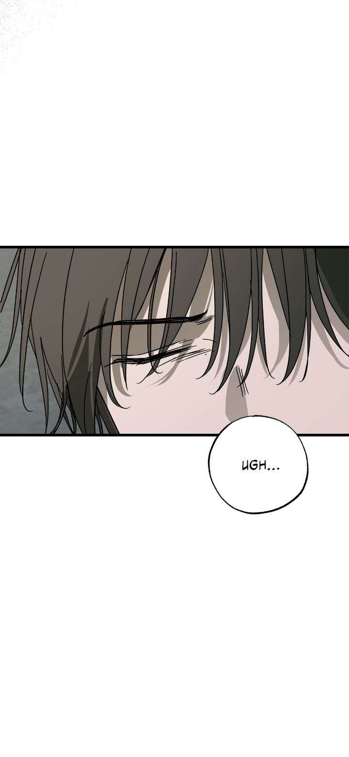 Page 45 of Chapter 74