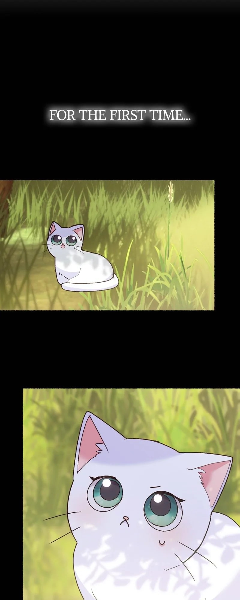 Page 9 of Chapter 4