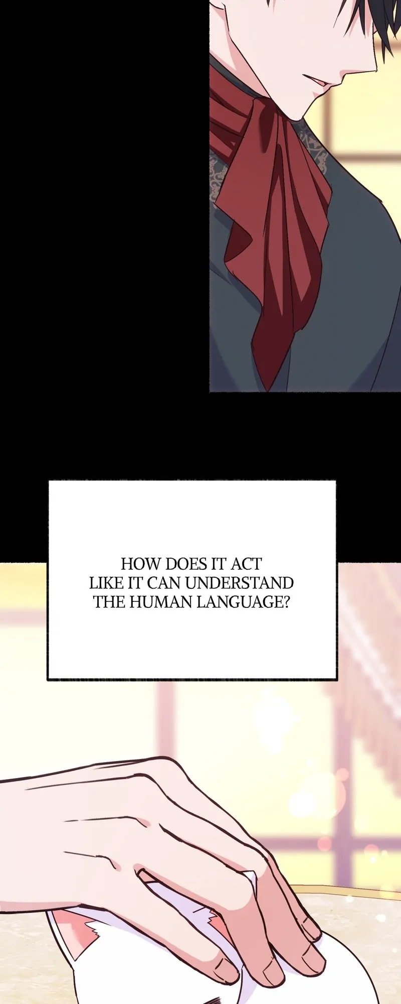 Page 17 of Chapter 4