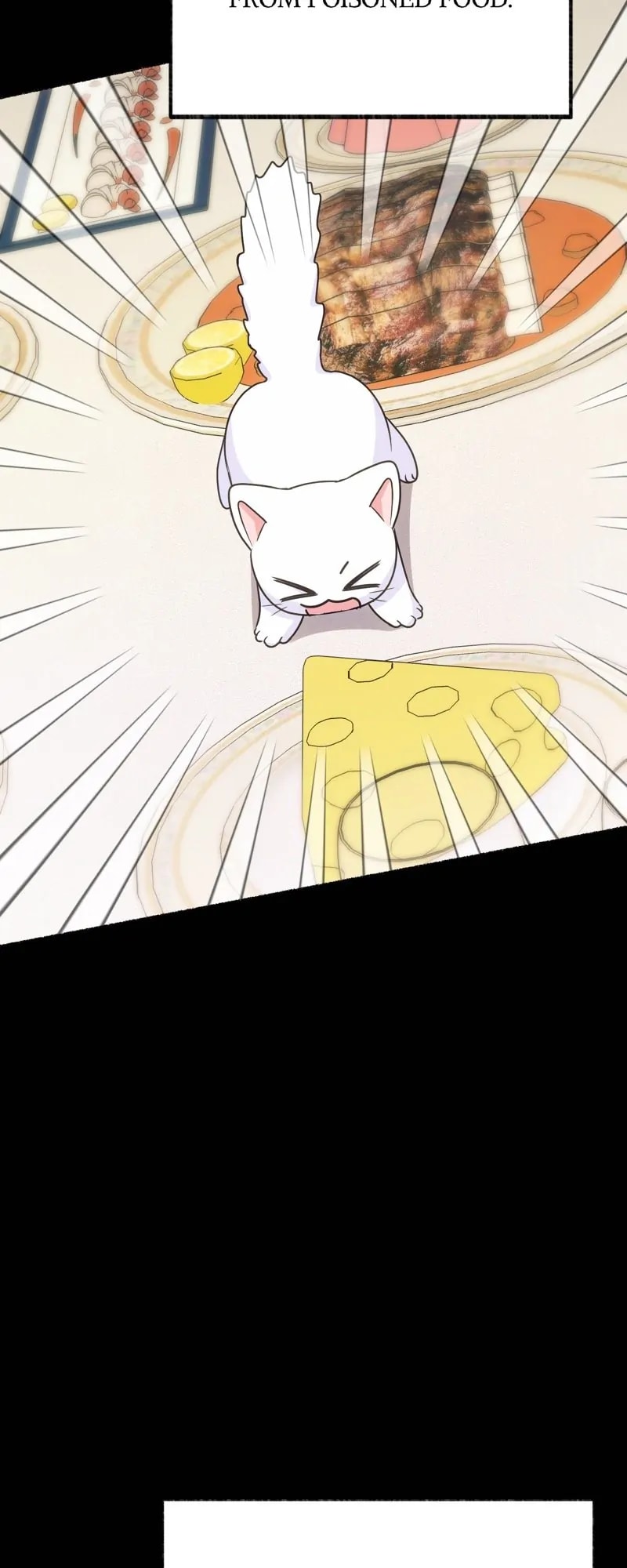 Page 19 of Chapter 4