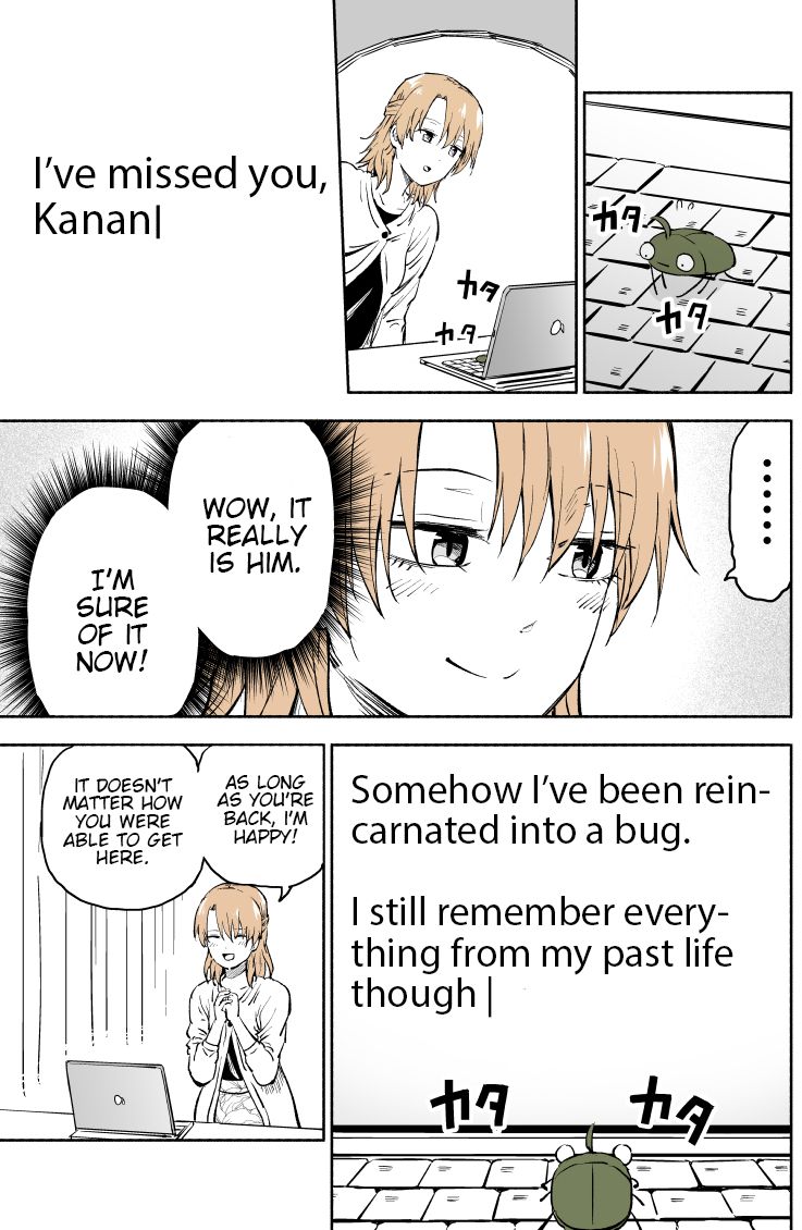 Page 3 of Chapter 2