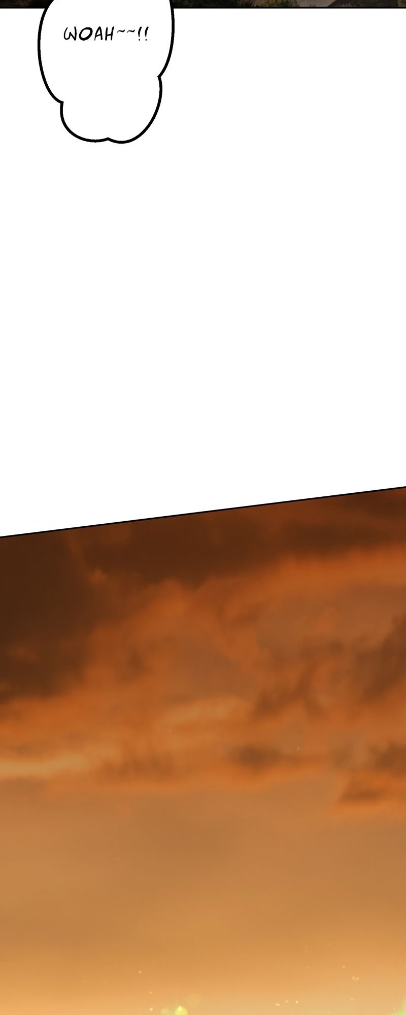 Page 55 of Chapter 13