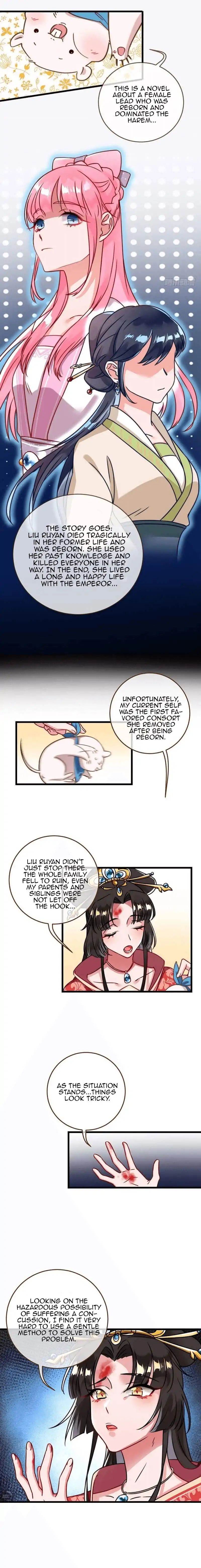 Page 3 of Chapter 2