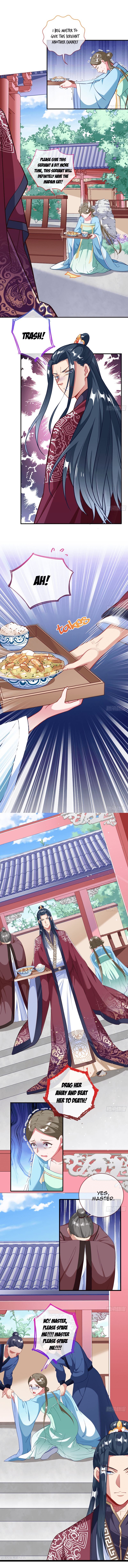 Page 13 of Chapter 290