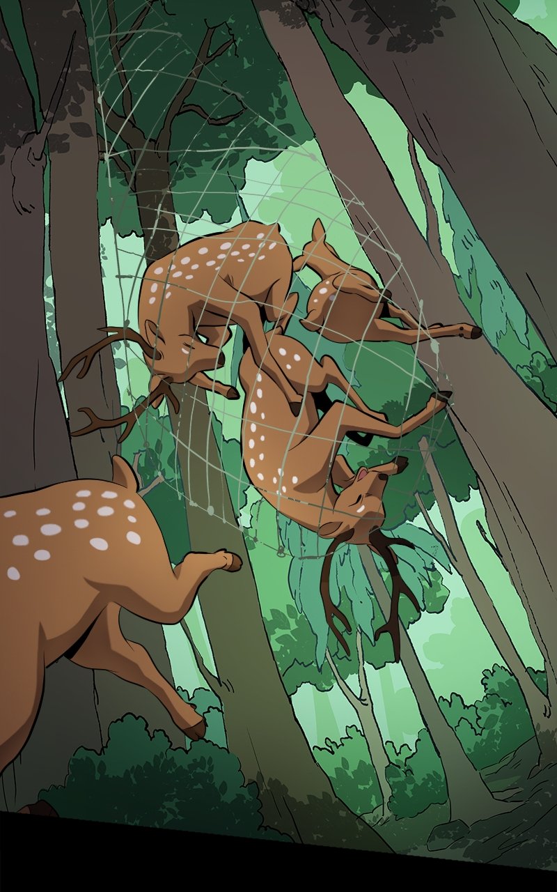 Page 17 of Chapter 14
