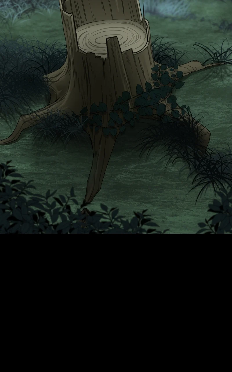 Page 5 of Chapter 38