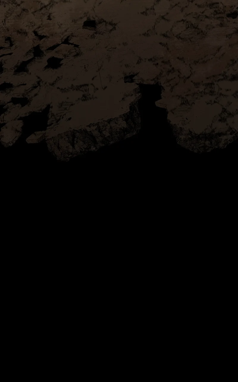 Page 66 of Chapter 49