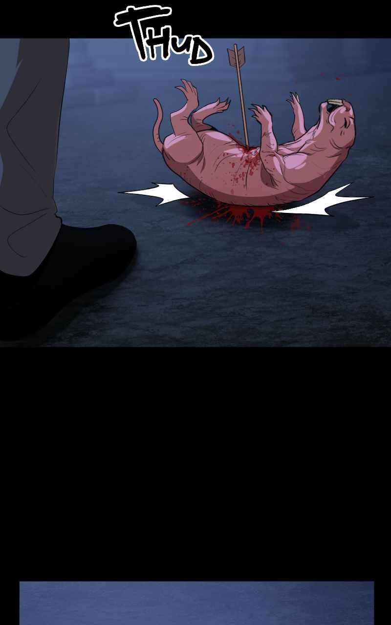 Page 13 of Chapter 54