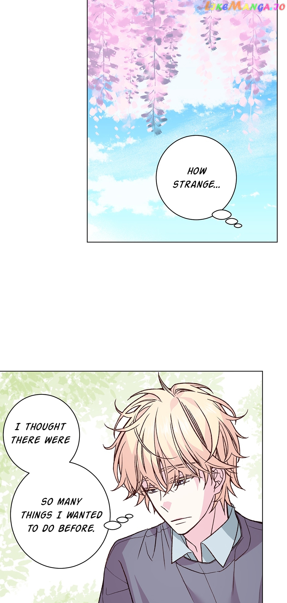 Page 24 of Chapter 41