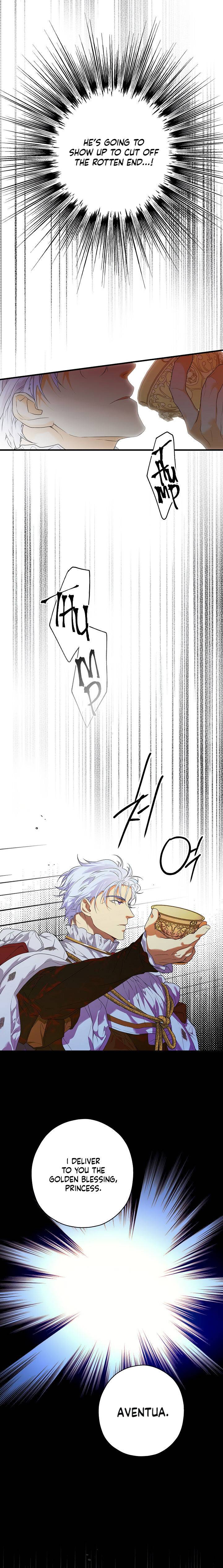 Page 17 of Chapter 12