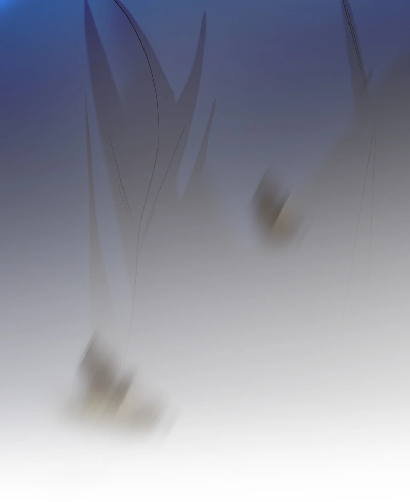 Page 98 of Chapter 114