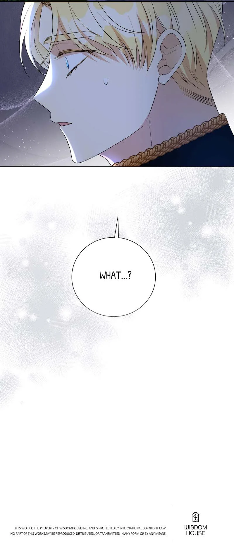 Page 62 of Chapter 118