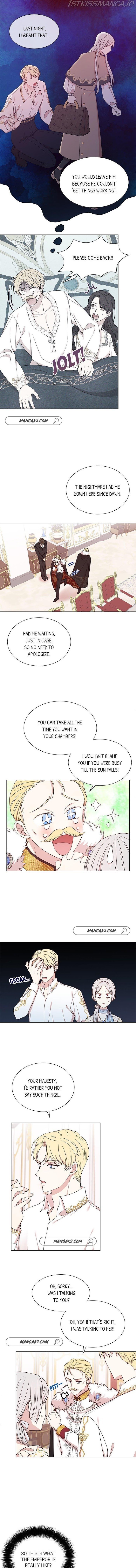Page 4 of Chapter 17