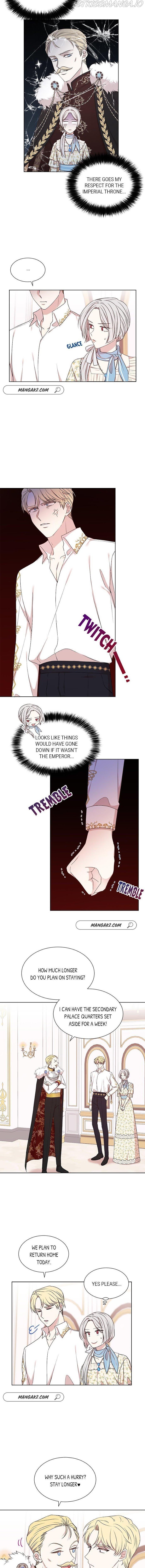 Page 5 of Chapter 17