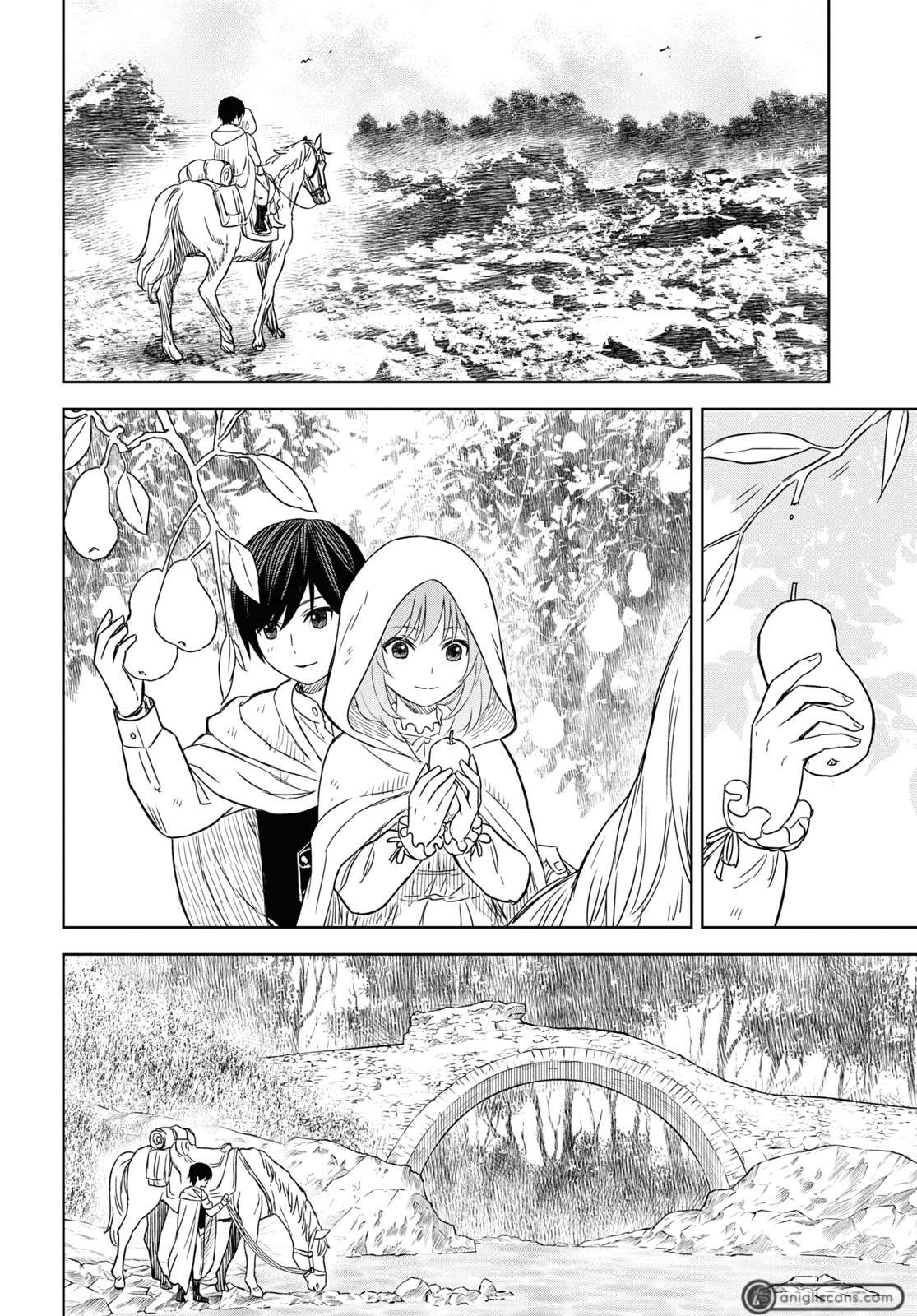 Page 17 of Chapter 12