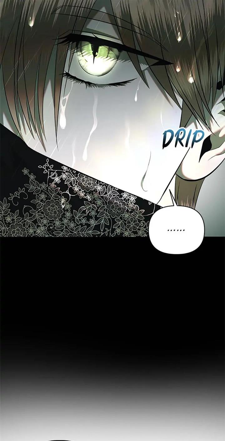 Page 29 of Chapter 31