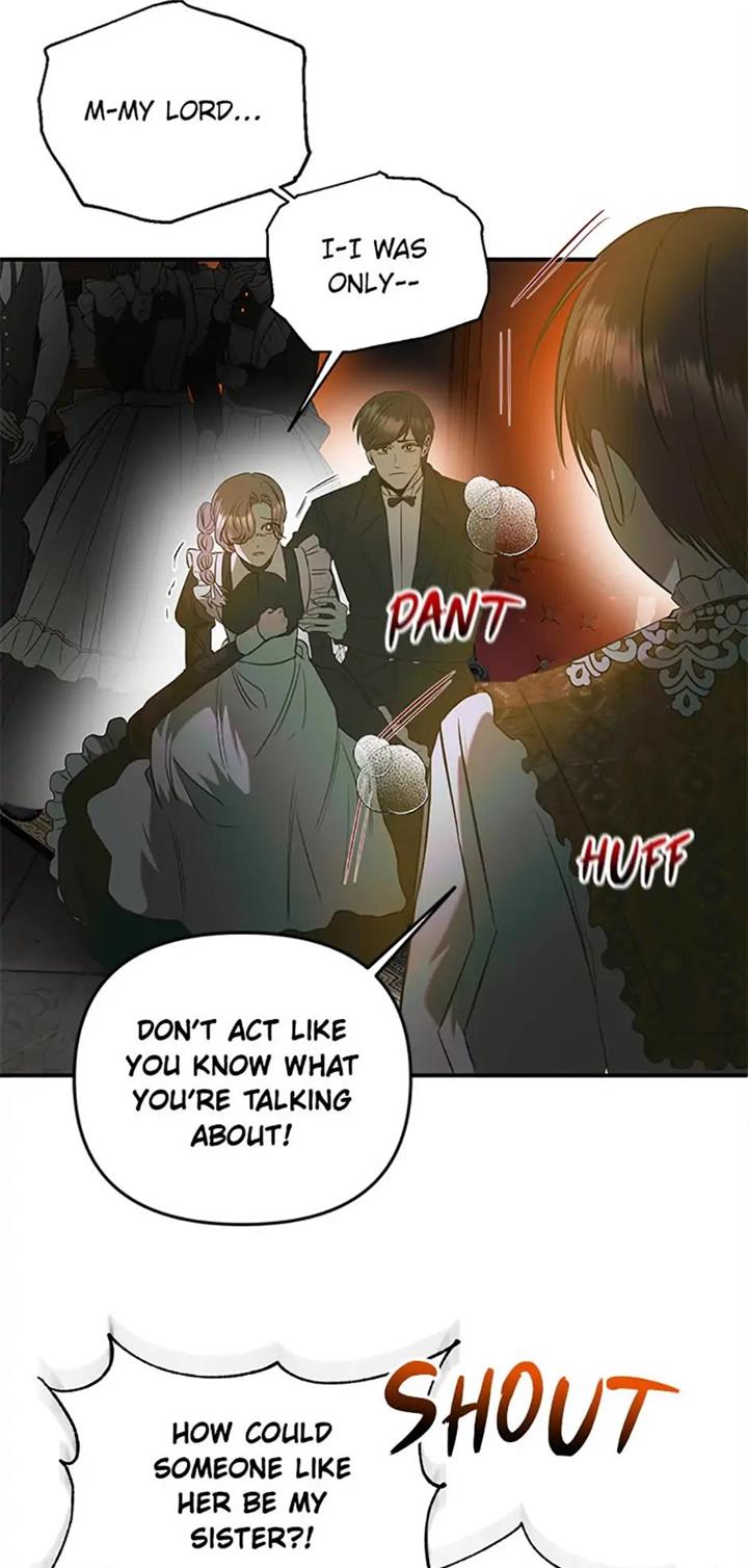 Page 41 of Chapter 33
