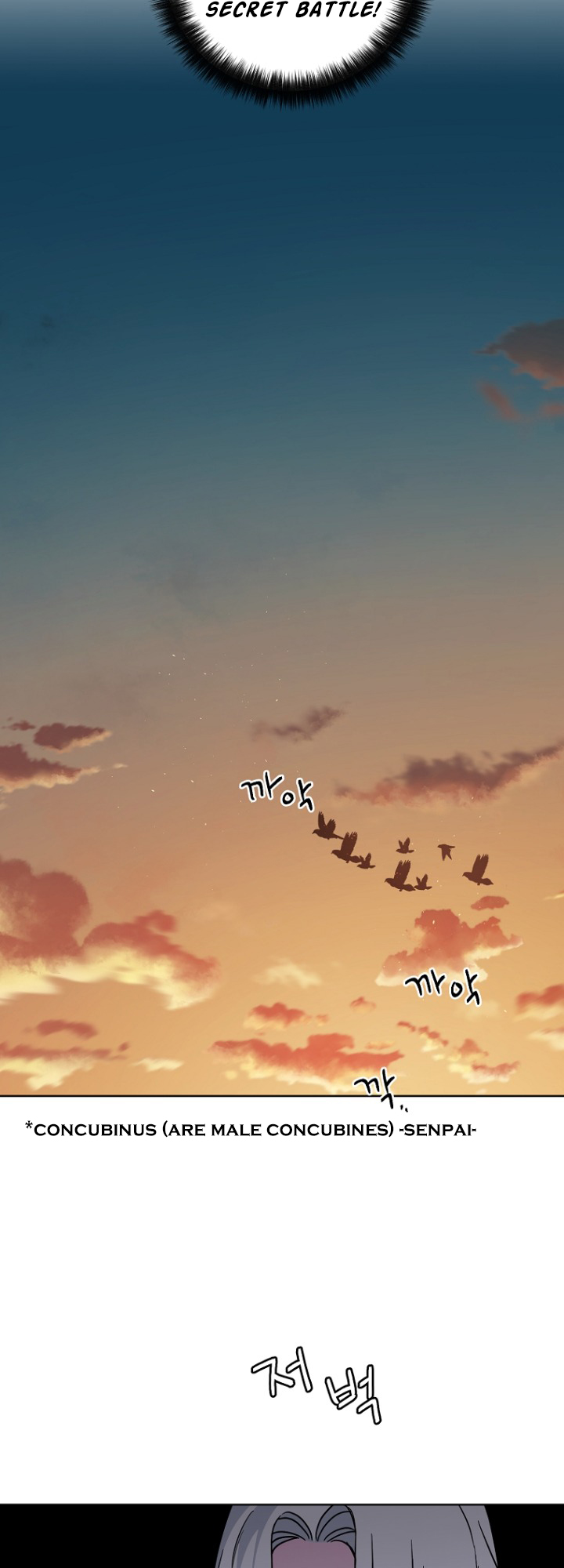 Page 29 of Chapter 155