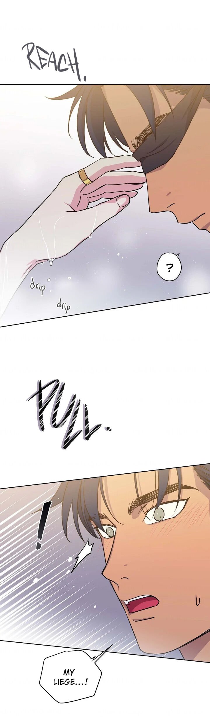 Page 12 of Chapter 99