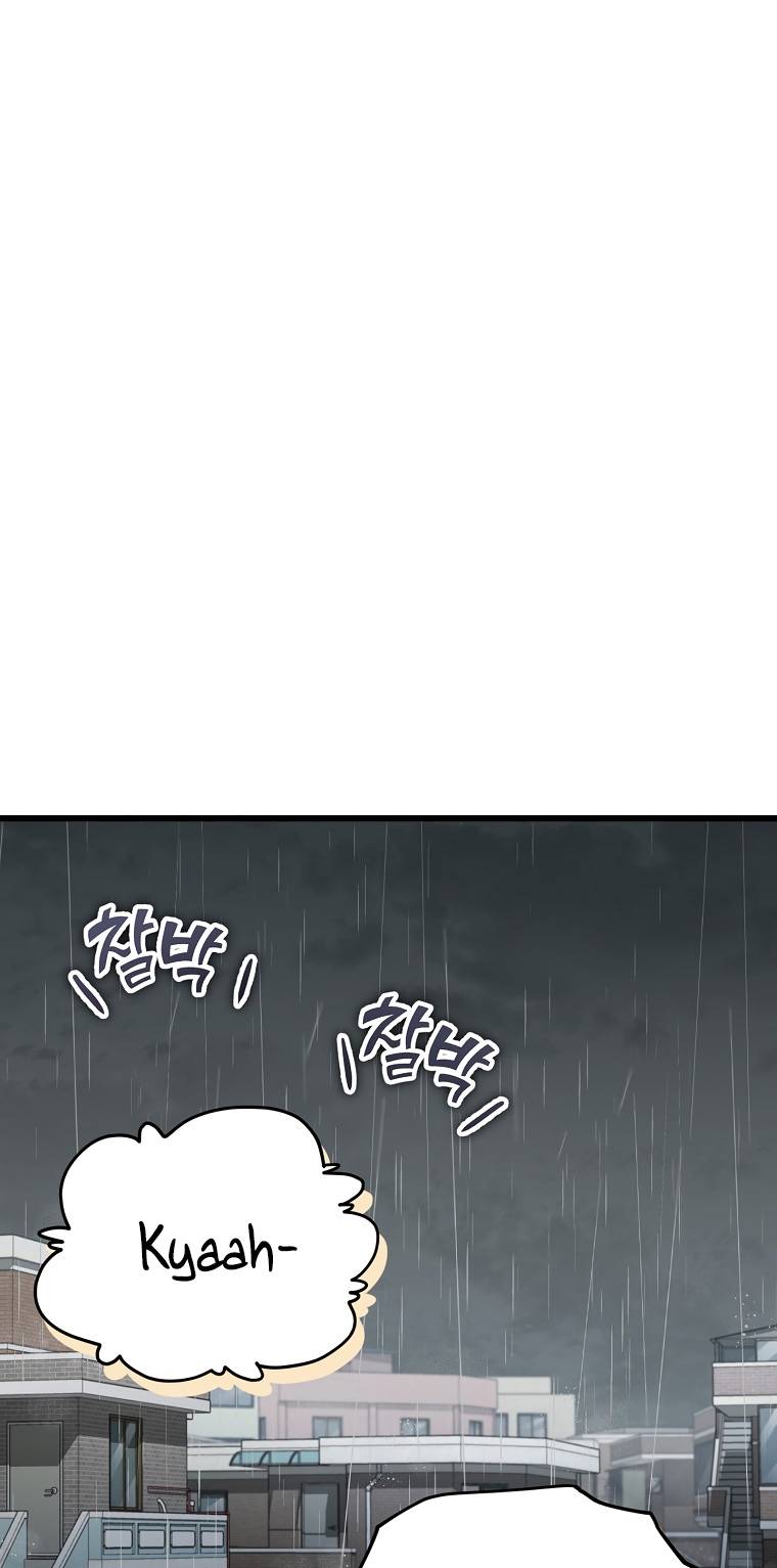 Page 2 of Chapter 116